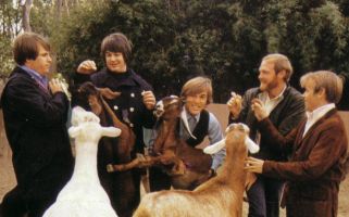 The Beach Boys at the San Diego zoo in 1966 for the photo session for Pet Sounds