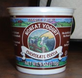 Trader Joe's chocolate yogurt